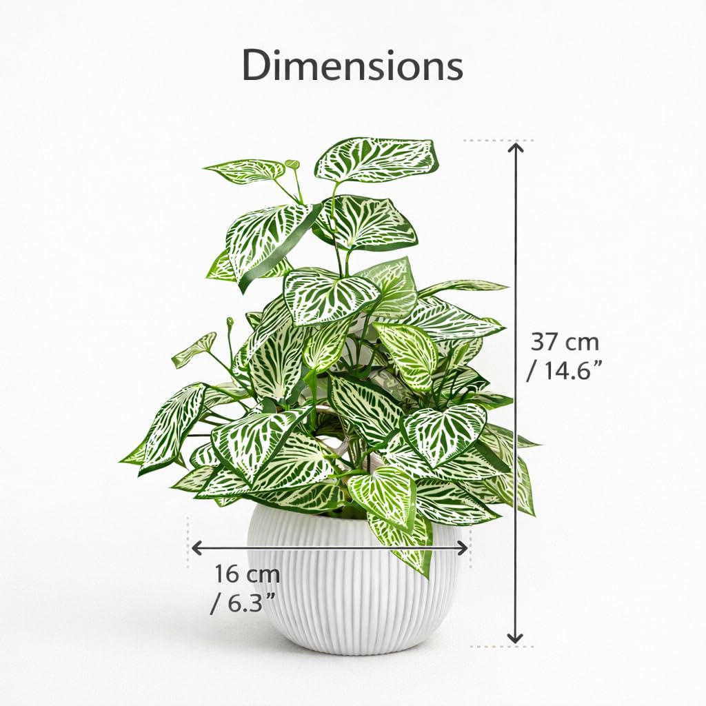 Artificial Green Potted Plant for Living Room, Bedroom & Office Decor | 37 cm