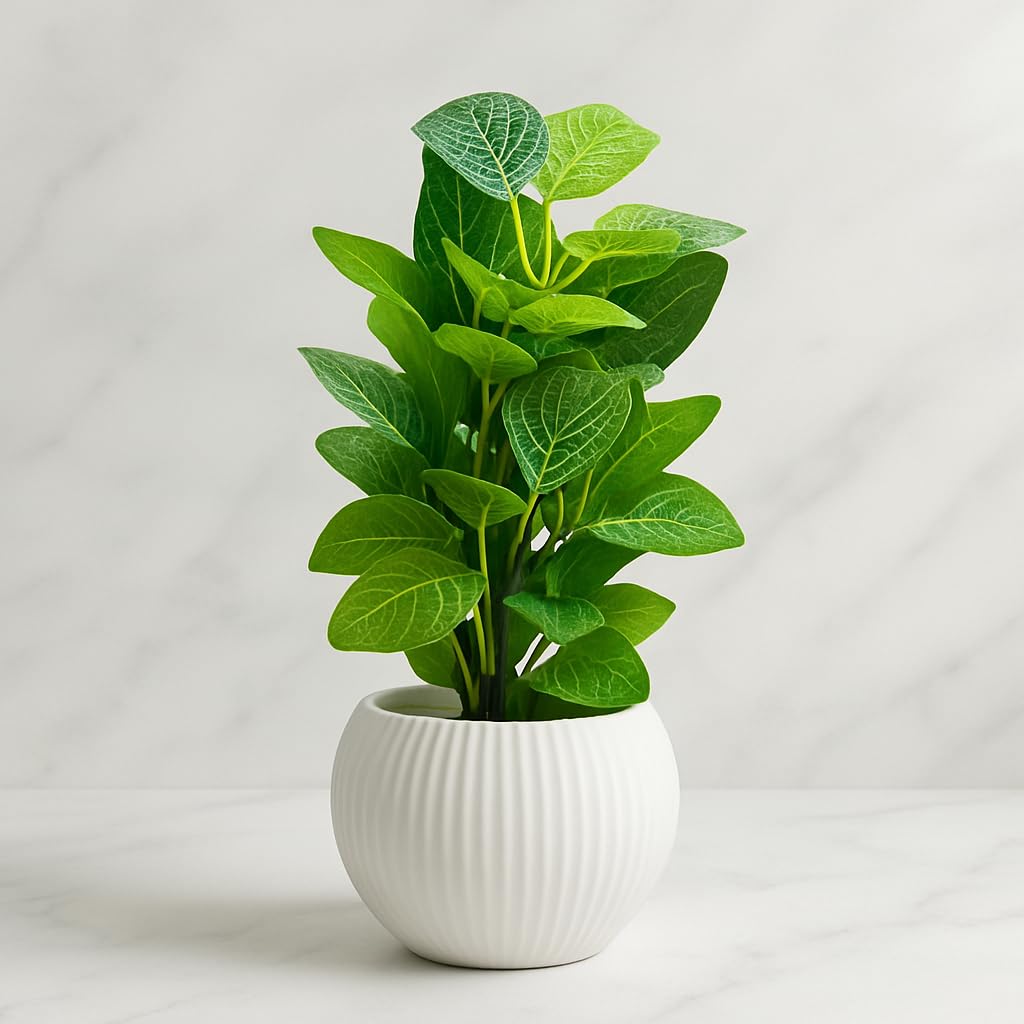Artificial Green Money Leaf Plant in White Ribbed Pot
