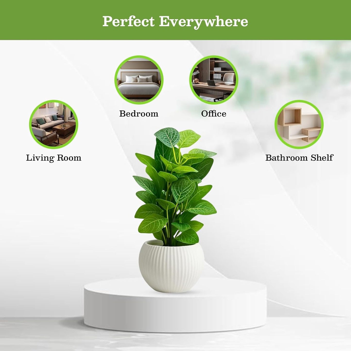 Artificial Green Money Leaf Plant in White Ribbed Pot