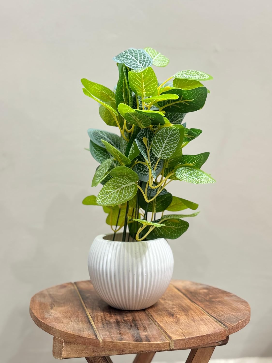 Artificial Green Money Leaf Plant in White Ribbed Pot