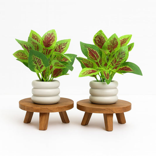 Artificial Plants for Home Décor – Green & Red Leaf Faux Plants with Fiber Plastic Pots-Pack of 2