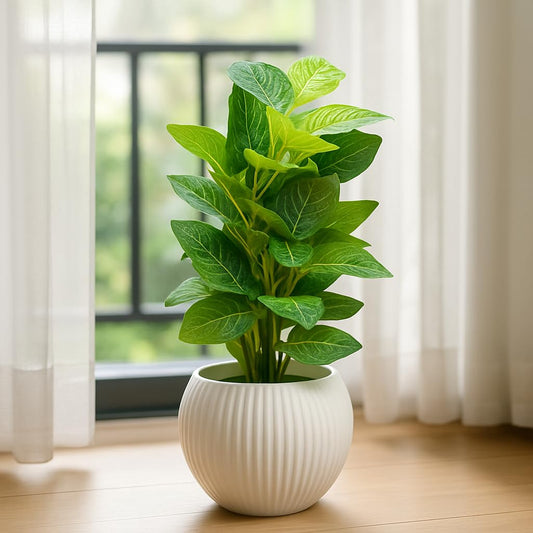 Artificial Green Money Leaf Plant in White Ribbed Pot