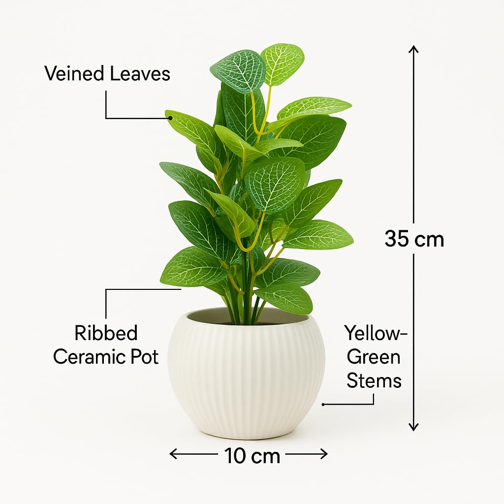 Artificial Green Money Leaf Plant in White Ribbed Pot